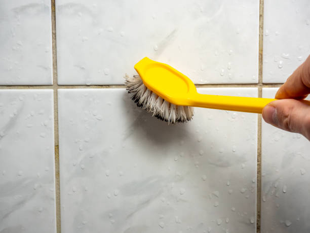 Best Mold Testing  in West Frankfort, IL