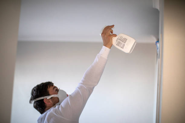 Best Local Mold Removal Service  in West Frankfort, IL